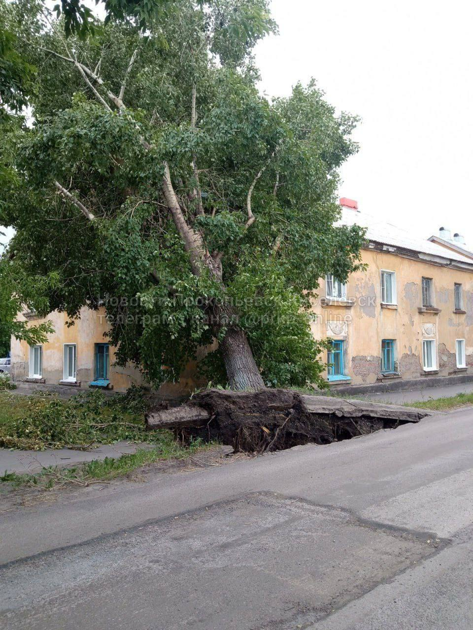 Ураганный ветер с корнем вырвал деревья в Кузбассе