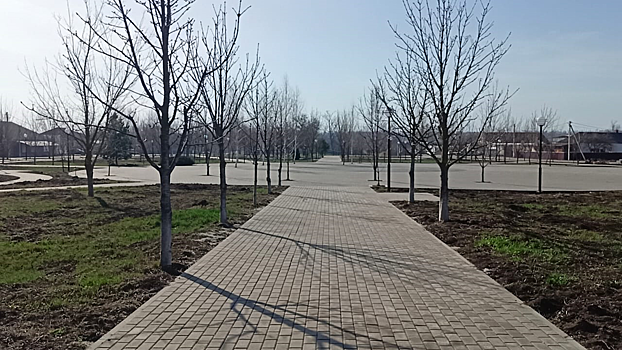 На открытой сессии Совета депутатов глава поселения Татьяна Кучерина подвела итоги работы за 2024 год