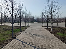 На открытой сессии Совета депутатов глава поселения Татьяна Кучерина подвела итоги работы за 2024 год