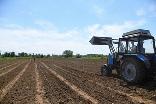 Осенняя посевная кампания стартовала в Волгоградской области