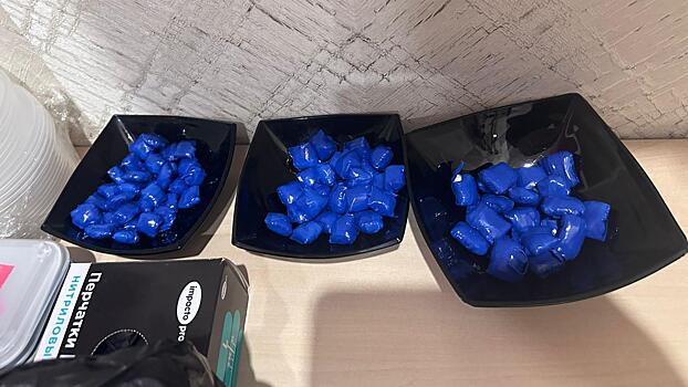 Транспортная полиция прервала горнолыжное турне москвича за попытку сбыта мефедрона на Сахалине