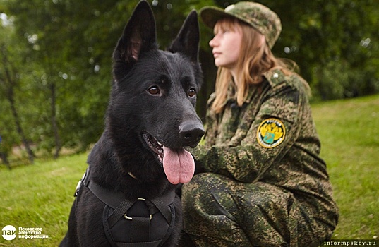 Рабочая встреча с резидентами «Моглино» состоялась в Псковской таможне