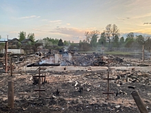 Жители деревни в Новгородской области, где сгорел 21 дом, получили помощь