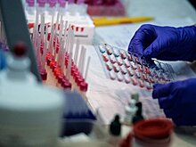 В Сибири создадут препарат нового поколения для лечения рака