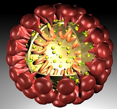 Штамм коронавируса «Дельта» распространяется как ветряная оспа — Nine News