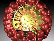 В Азербайджане за сутки выявили более 1700 случаев заражения коронавирусом