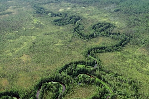 В Восточной Сибири проведут масштабное экологическое исследование