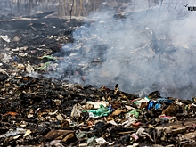 Стекло, банки и пакеты: на Дону чиновников обязали расчистить захламленный участок