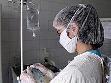 Терапевт заявил об угрозе ротавирусной инфекции в России