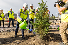 На территории будущего парка «СКА Арены» высадили первую аллею деревьев