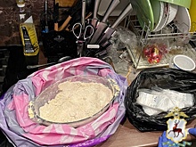 ФСБ накрыла две крупные нарколаборатории в Нижегородской области