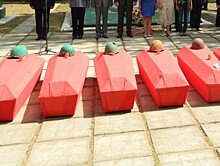 Поисковики обнаружили останки более 130 красноармейцев, погибших подо Ржевом