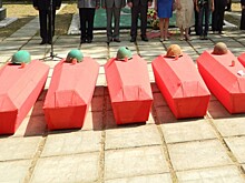 Поисковики обнаружили останки более 130 красноармейцев, погибших подо Ржевом
