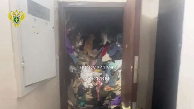 Суд запретил москвичке содержать девять кошек в заваленной мусором квартире