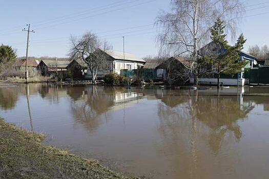 В Псковской области из-за паводка затопило деревню