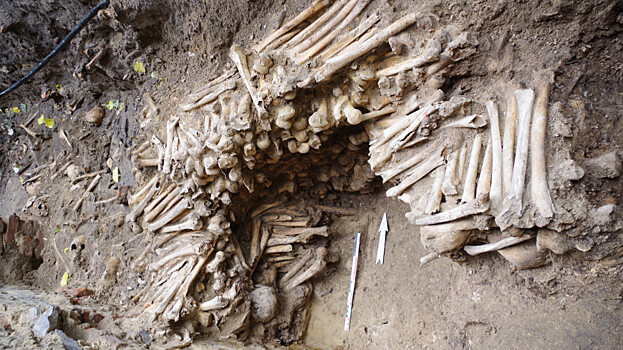 В Бельгии нашли стену из человеческих костей