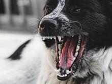 Наказание ужесточается – в Госдуме анонсировали штрафы до 200 000 рублей