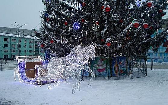 Куда уходят новогодние ели в Курске после праздников