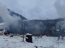 Женщина пострадала при атаке дрона в Белгородской области