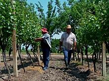 «Жди меня» на НТВ отправится в экспедицию, чтобы воссоединить близких
