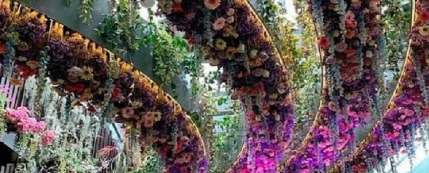 В Новосибирске пройдет Международный фестиваль цветов «Времена года»