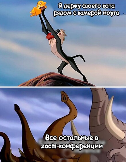 Онлайн-конференции как стиль жизни.