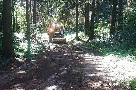В Ижевске началось благоустройство парка Тишино