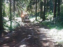 В Ижевске началось благоустройство парка Тишино