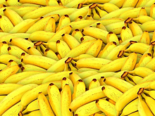 Роскачество обнаружило ядохимикаты в бананах: как купить «здоровые» бананы?