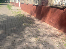 Кемеровчанка с помощью органов заставила медлительных коммунальщиков быстро отремонтировать фасад дома
