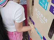 Девятилетняя девочка застряла в автомате для кормления белок в Новосибирске