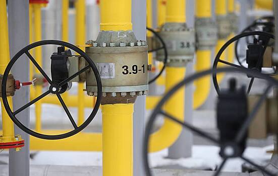 Германия оценила успехи в снижении зависимости от российского газа