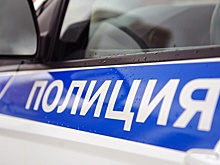 В Петербурге задержан несовершеннолетний, разбивший лобовое стекло автобуса