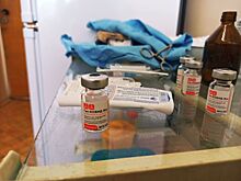 Обязательная вакцинация в Костромской области: кого могут отстранить от работы без прививки