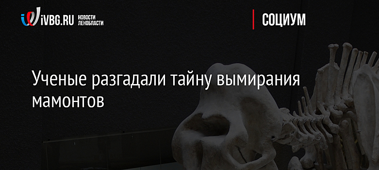 Ученые разгадали тайну вымирания мамонтов