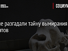 Ученые разгадали тайну вымирания мамонтов
