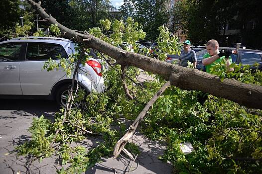 Волгоградская область пережила ураган