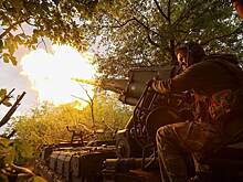 В Германии призвали Украину прекратить огонь и подчиниться России