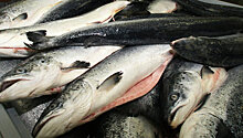 Россия запретит ввоз польской рыбы и консервов
