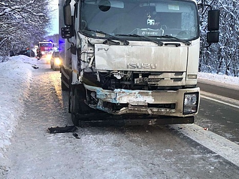 Две девочки и женщина погибли в страшном ДТП в Кстовском районе