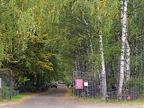 Сотни людей «заживо похоронили» в Костроме втайне от них самих