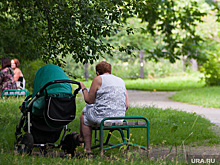 Работающим пенсионерам хотят дать специальный 100-дневный отпуск