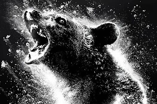 Трешевый «Кокаиновый медведь» стал доступен в онлайне