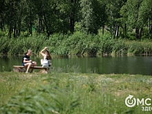 В Омске намерены улучшить экологию с помощью трёх проектов