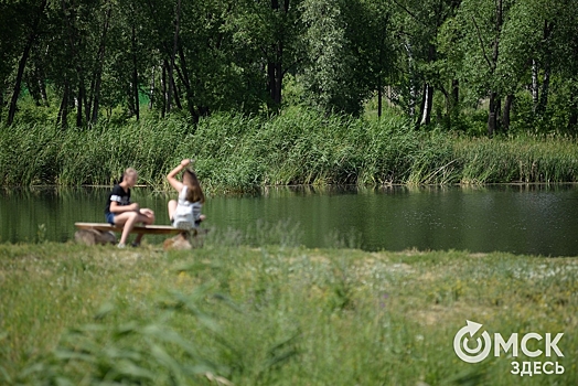 В Омске намерены улучшить экологию с помощью трёх проектов