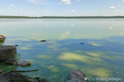 Озеро Шарташ поменяло цвет на ядовито-зеленый