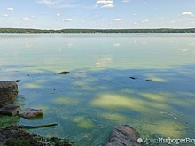 Озеро Шарташ поменяло цвет на ядовито-зеленый