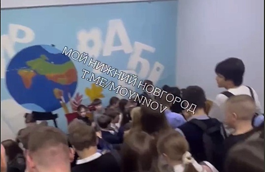 Эвакуация с давкой произошла в школе №110 в Нижнем Новгороде