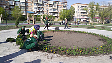 В Астрахани в новом сквере «Антикормаш» высадили зеленые насаждения