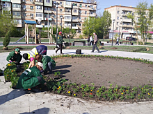 В Астрахани в новом сквере «Антикормаш» высадили зеленые насаждения